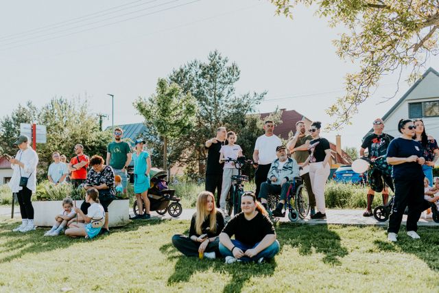 A crowd gathered on a lawn at a neighborhood event